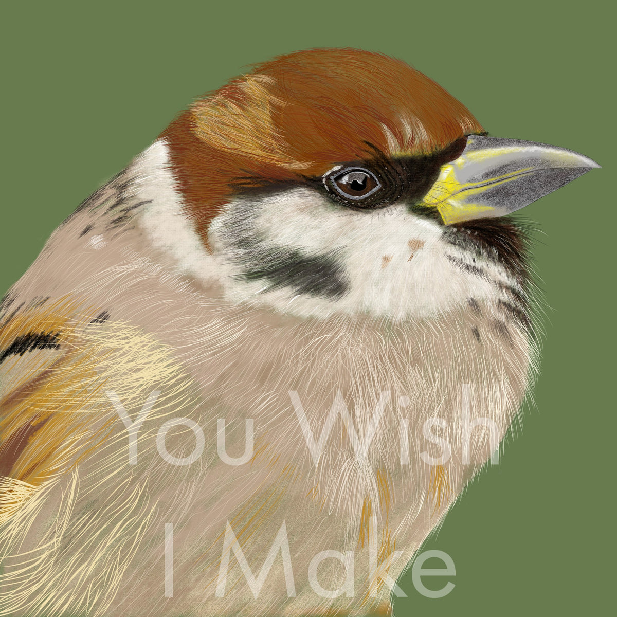 Dutch House Sparrow Protected