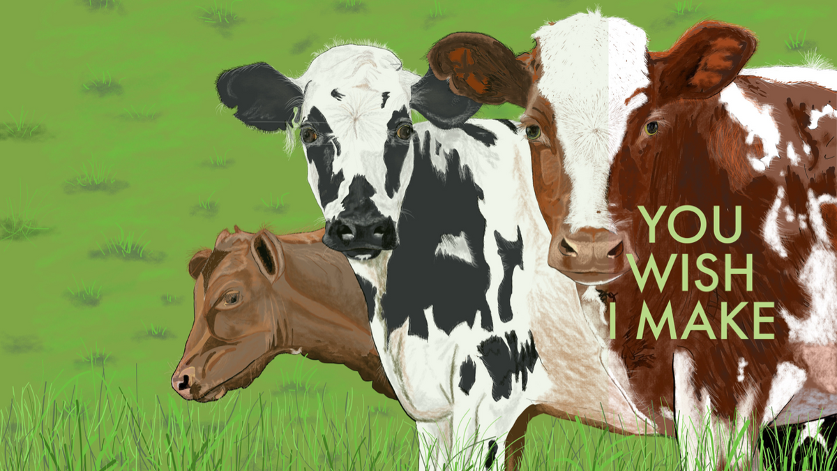 3 Dutch Cows in a field Protected